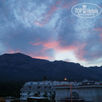 фото из отзыва ID 955608