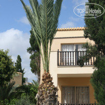 фото из отзыва ID 955776