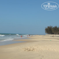 фото из отзыва ID 955888