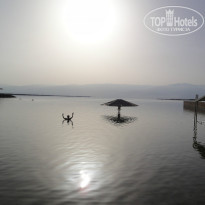 фото из отзыва ID 955923