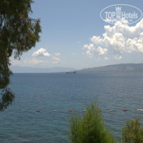 фото из отзыва ID 955341