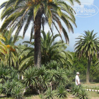 фото из отзыва ID 956224