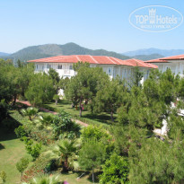 фото из отзыва ID 956060