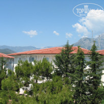 фото из отзыва ID 956060