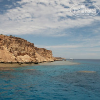 фото из отзыва ID 956296