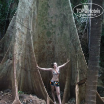 фото из отзыва ID 956350