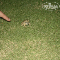 фото из отзыва ID 956362