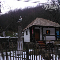 фото из отзыва ID 956466