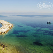 фото из отзыва ID 956667