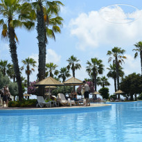 фото из отзыва ID 956734