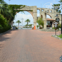 фото из отзыва ID 956734