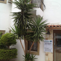 фото из отзыва ID 956801