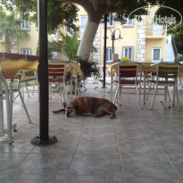 фото из отзыва ID 956801