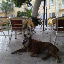 фото из отзыва ID 956801