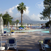 фото из отзыва ID 956724