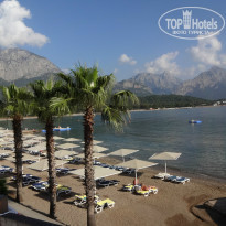 фото из отзыва ID 956724