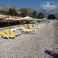 фото из отзыва ID 956287