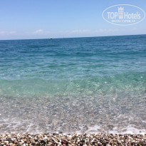 фото из отзыва ID 956287