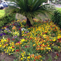 фото из отзыва ID 956287