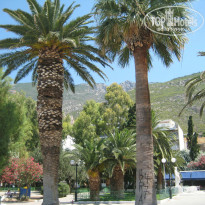 фото из отзыва ID 956032