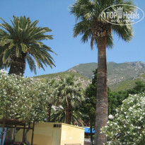 фото из отзыва ID 956032