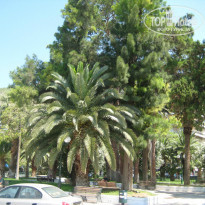 фото из отзыва ID 956032