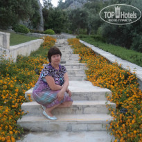 фото из отзыва ID 956425