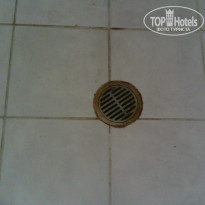 фото из отзыва ID 957075