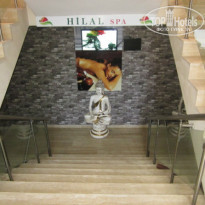 фото из отзыва ID 957087