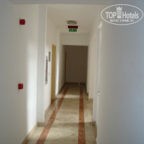 фото из отзыва ID 957168