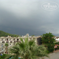 фото из отзыва ID 957168