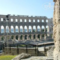 фото из отзыва ID 957374