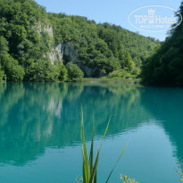 фото из отзыва ID 957374