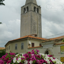 фото из отзыва ID 957374