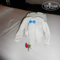 фото из отзыва ID 957513