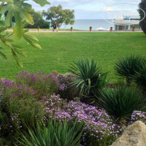 фото из отзыва ID 957593