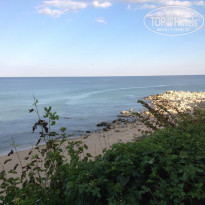 фото из отзыва ID 957593