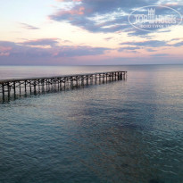 фото из отзыва ID 957593