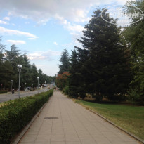 фото из отзыва ID 957593