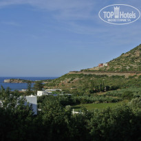 фото из отзыва ID 957886