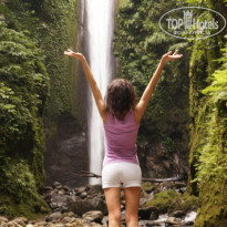 фото из отзыва ID 957904