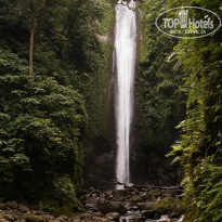 фото из отзыва ID 957904