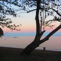 фото из отзыва ID 957904