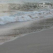 фото из отзыва ID 957972