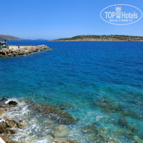 фото из отзыва ID 957972