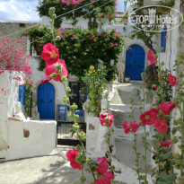 фото из отзыва ID 957972