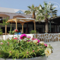 фото из отзыва ID 957835