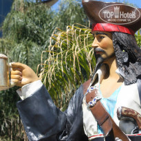 фото из отзыва ID 957218