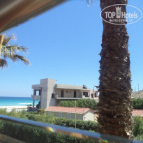 фото из отзыва ID 958086