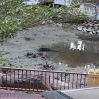 фото из отзыва ID 958437